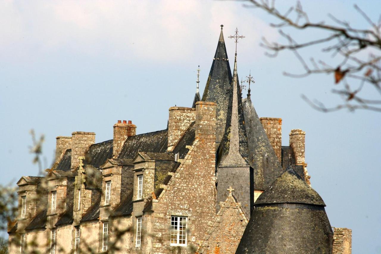 Chateau De Bourgon Montourtier 外观 照片
